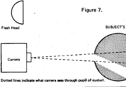 Electronic Flash Guide