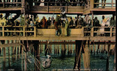 Historic Atlantic city post cards