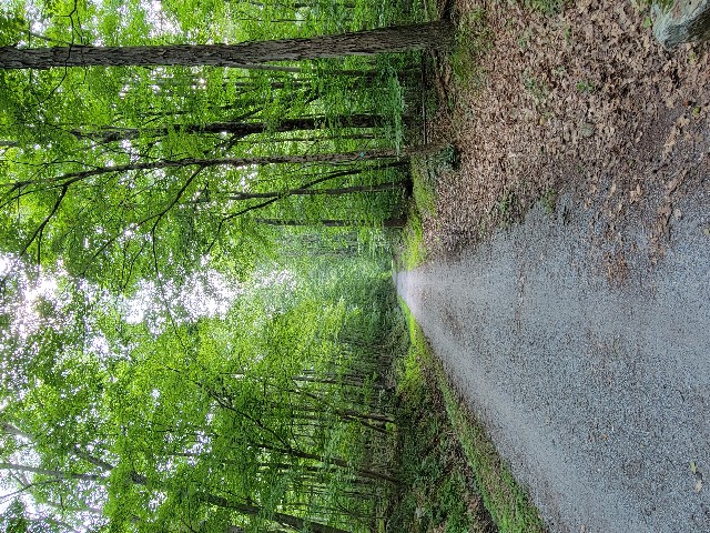 Columbia Trail, High Bridge - Hunterdon County, NJ