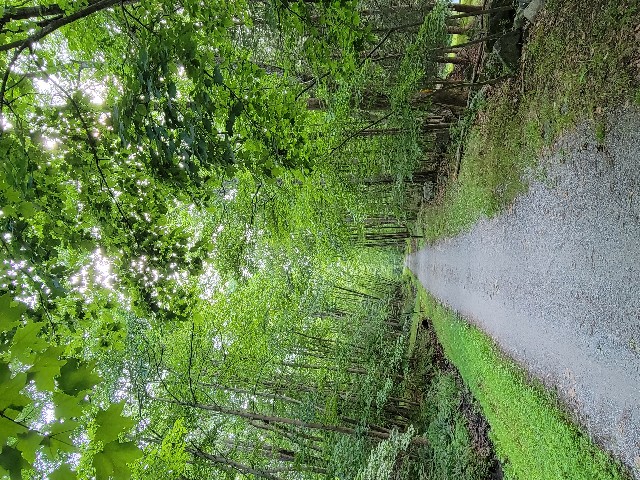 Columbia Trail, High Bridge - Hunterdon County, NJ