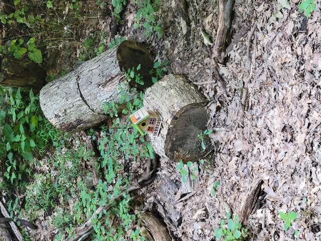 Columbia Trail, High Bridge - Hunterdon County, NJ