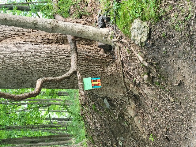 Columbia Trail, High Bridge - Hunterdon County, NJ