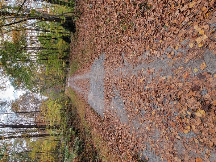 Columbia Trail, High Bridge - Hunterdon County, NJ