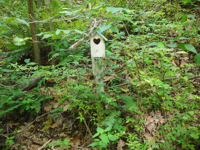 Columbia Trail, High Bridge, NJ 2023