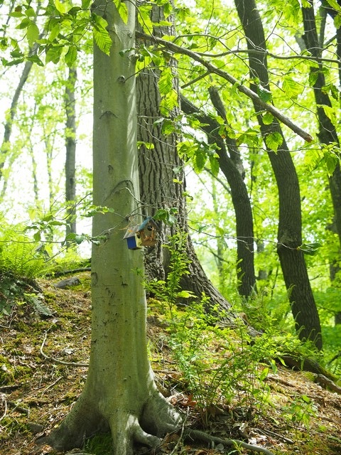 Columbia Trail, High Bridge, NJ 2023