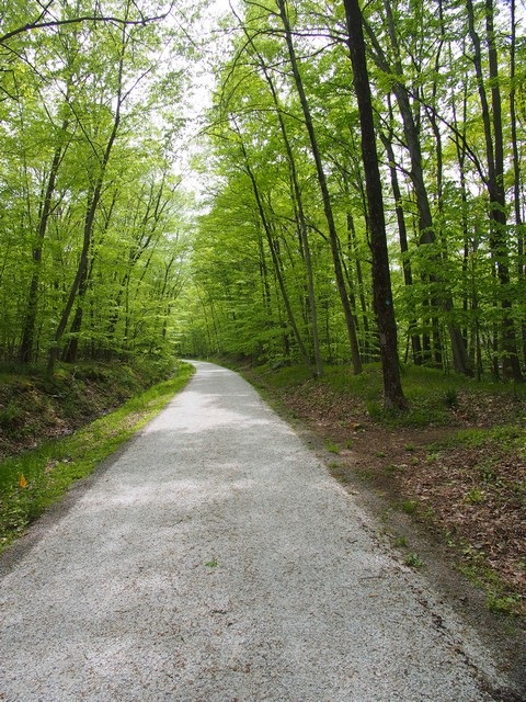 Columbia Trail, High Bridge, NJ 2023