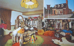 Historic Flemington N.J. post cards - Hide and Hair - 1971